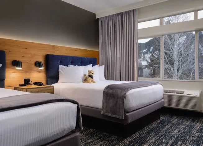 Hospitality